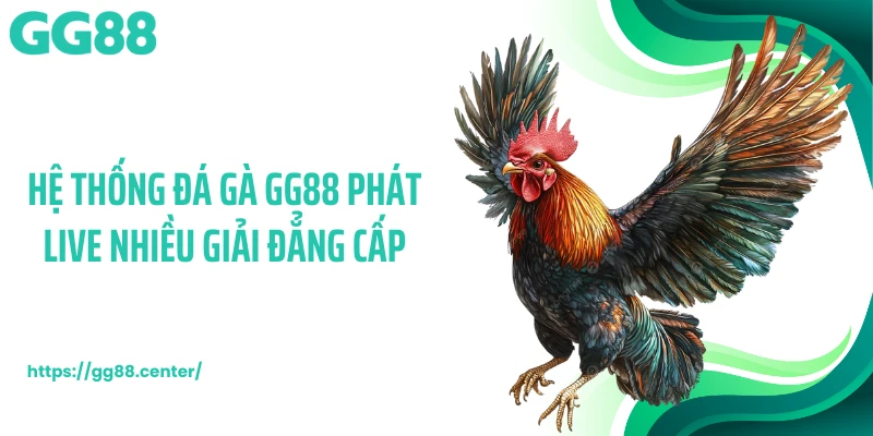 Hệ thống đá gà GG88 phát live nhiều giải đẳng cấp