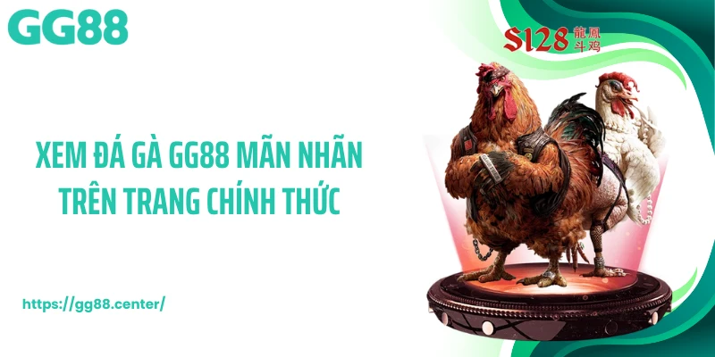 Xem đá gà GG88 mãn nhãn trên trang chính thức